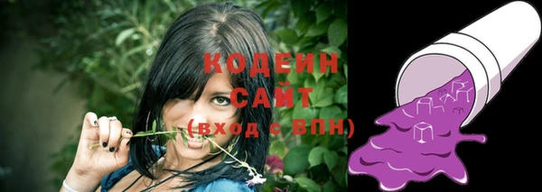 дживик Нея