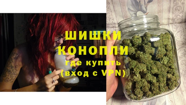 дживик Нея