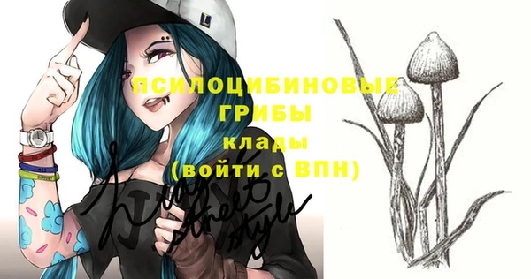 дживик Нея