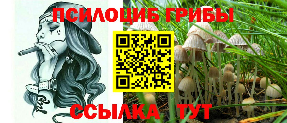 Новотроицк  Псилоцибиновые грибы мухоморы  Вход с VPN 